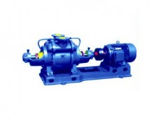 上海SZ系列水环式真空泵及压缩机